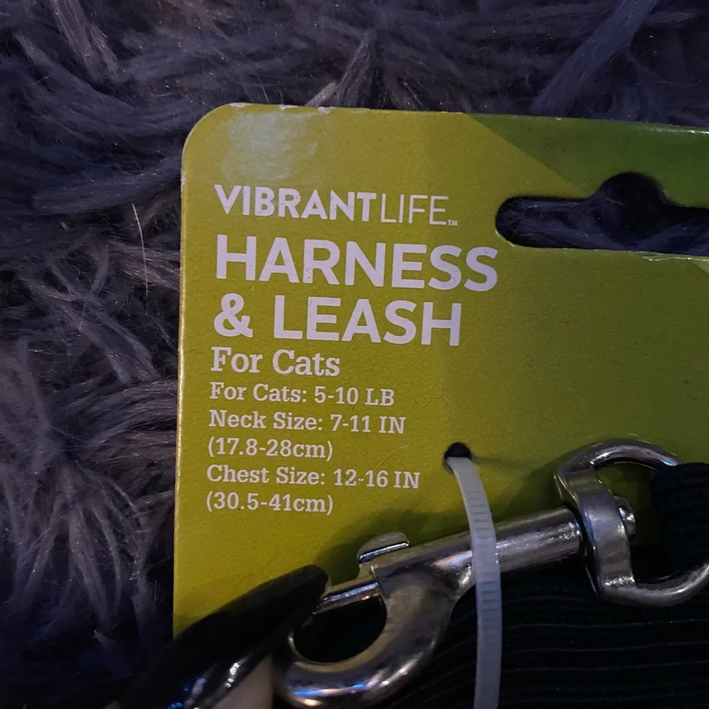 Cat harness and leash